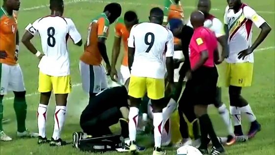 Ivory Coast Player Saves Life of Moussa Doumbia on the Pitch